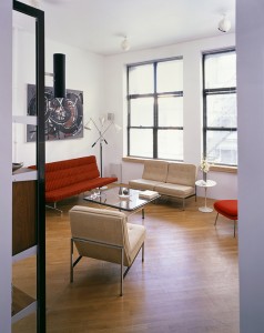 Form Follows Function New York apartment